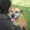 Photo of Coral Adopted!!!!