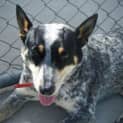 Photo of Molly