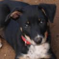 Photo of Fleur
