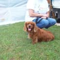 Photo of Holly