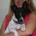 Photo of Gorgeous Georgie On Trial