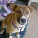 Photo of Sally