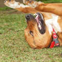 Photo of Max