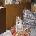 Photo of Sam