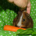 Photo of Roger