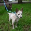Photo of ***On Trial On The 5.3.2010***Daisy
