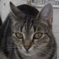 Photo of Mama