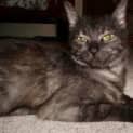 Photo of Janie