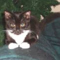 Photo of Kelly