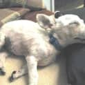 Photo of Jonah   Adopted