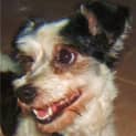 Photo of Lulu