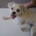 Photo of Ben
