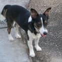 Photo of Flash