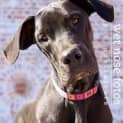 Photo of Jazz