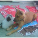 Photo of Cassie