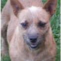 Photo of Peggy