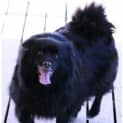 Photo of Bonnie