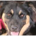 Photo of Pooka Ontrial
