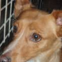 Photo of Candy