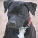 Photo of Wanda