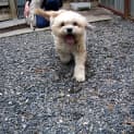 Photo of Frankie