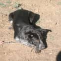 Photo of Holly