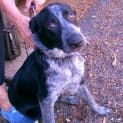 Photo of Holly