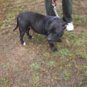 Photo of Zoe