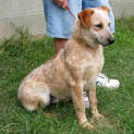 Photo of Lui