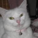 Photo of Alice