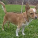 Photo of Lucky