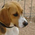 Photo of Sally