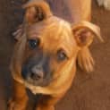 Photo of Gretel
