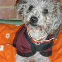 Photo of Bobbie