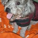 Photo of Bobbie