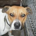 Photo of Roxy