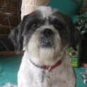 Photo of Milton Is Trying A New Home!!