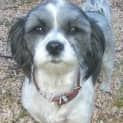 Photo of Annabelle
