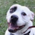Photo of Missy
