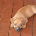 Photo of Lily
