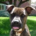 Photo of Tyson