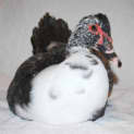 Photo of Giselda
