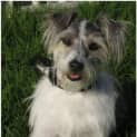 Photo of Charley
