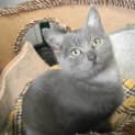 Photo of Gretel