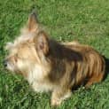 Photo of Sandy