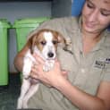 Photo of Shelby
