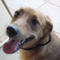 Photo of Floozy
