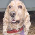 Photo of Turbo
