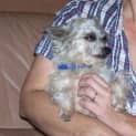 Photo of Milly