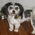 Photo of Wally